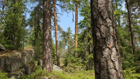  Retki Heretinharjulle