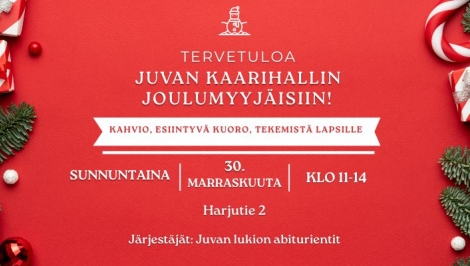 Juvan joulumyyjäiset Kaarihallilla
