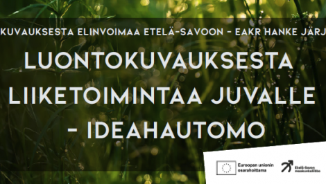 Luontokuvauksesta elinvoimaa Etelä-Savoon -hankkeen ideahautomo Juvalla