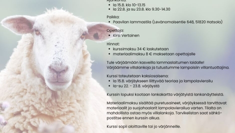 Kasvivärjäystä lammastilalla