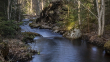Näyttelyn avajaiset 4.6.klo 17.00