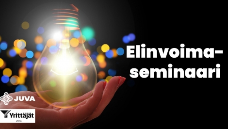 Elinvoimaseminaari