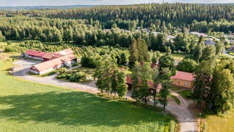 Juvan kausiasukkaiden ja uusien asukkaiden tapaaminen