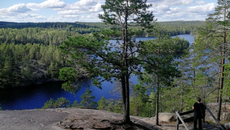 Arvokkaat savolaiset metsämme ja metsäsuhteemme ennen, nyt ja tulevaisuudessa
