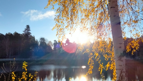 Juvan omaishoitajien vertaistukiryhmä